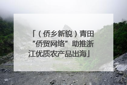 （侨乡新貌）青田“侨贸网络”助推浙江优质农产品出海
