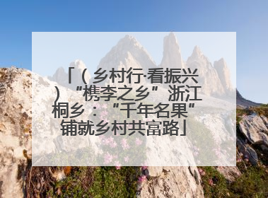 （乡村行·看振兴）“槜李之乡”浙江桐乡：“千年名果”铺就乡村共富路