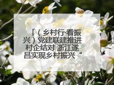 （乡村行·看振兴）党建联建推进村企结对 浙江遂昌实现乡村振兴“加速度”