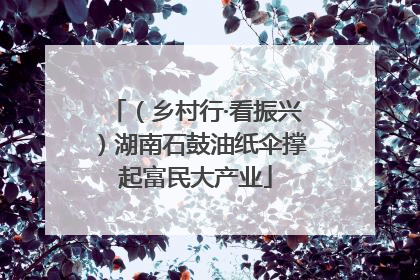 （乡村行·看振兴）湖南石鼓油纸伞撑起富民大产业