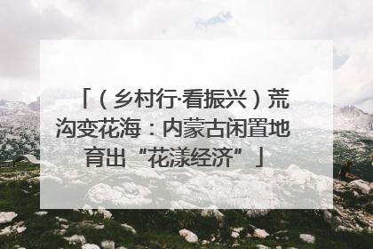 （乡村行·看振兴）荒沟变花海：内蒙古闲置地育出“花漾经济”