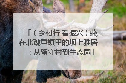 （乡村行·看振兴）藏在北魏重镇里的坝上雅居：从留守村到生态园