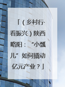 （乡村行·看振兴）陕西略阳：“小瓢儿”如何撬动亿元产业？