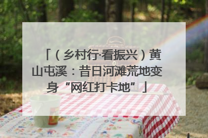 （乡村行·看振兴）黄山屯溪：昔日河滩荒地变身“网红打卡地”