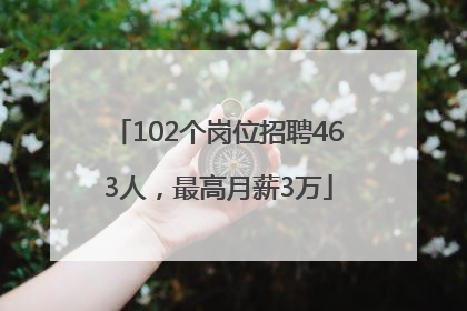 102个岗位招聘463人，最高月薪3万