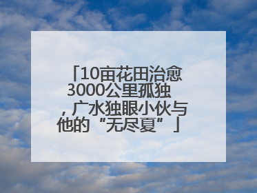 10亩花田治愈3000公里孤独，广水独眼小伙与他的“无尽夏”