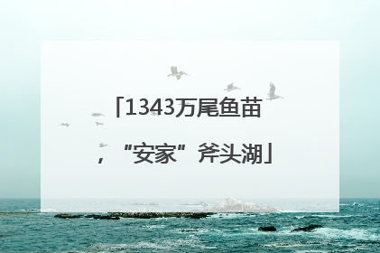 1343万尾鱼苗，“安家”斧头湖