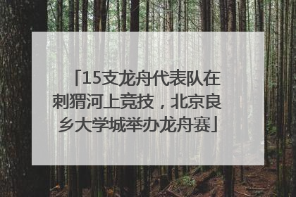 15支龙舟代表队在刺猬河上竞技，北京良乡大学城举办龙舟赛