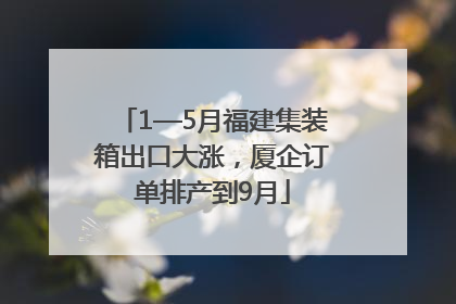 1—5月福建集装箱出口大涨，厦企订单排产到9月