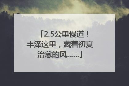 2.5公里慢道！丰泽这里，藏着初夏治愈的风……