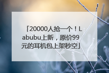 20000人抢一个！Labubu上新，原价99元的耳机包上架秒空