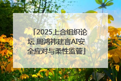 2025上合组织论坛 周鸿祎建言AI安全应对与柔性监管