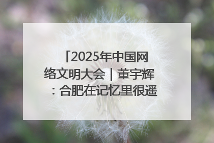 2025年中国网络文明大会｜董宇辉：合肥在记忆里很遥远也很亲切