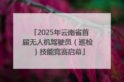 2025年云南省首届无人机驾驶员（巡检）技能竞赛启幕