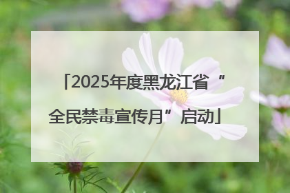 2025年度黑龙江省“全民禁毒宣传月”启动