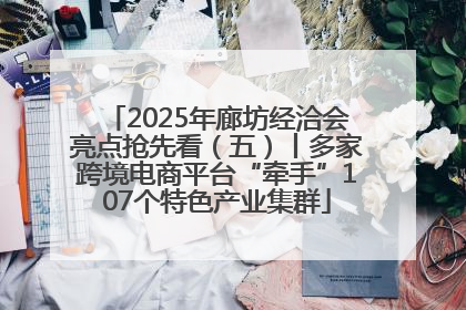 2025年廊坊经洽会亮点抢先看（五）丨多家跨境电商平台“牵手”107个特色产业集群