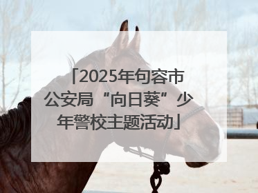 2025年句容市公安局“向日葵”少年警校主题活动