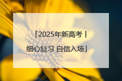 2025年新高考丨细心复习 自信入场