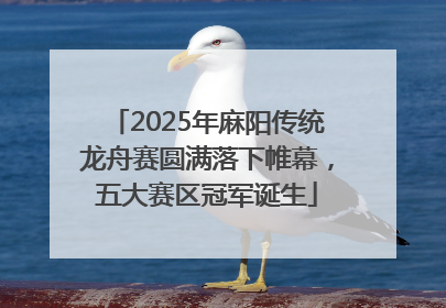 2025年麻阳传统龙舟赛圆满落下帷幕，五大赛区冠军诞生