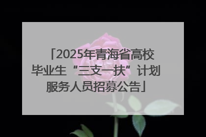 2025年青海省高校毕业生“三支一扶”计划服务人员招募公告