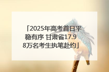 2025年高考首日平稳有序 甘肃省17.98万名考生执笔赴约