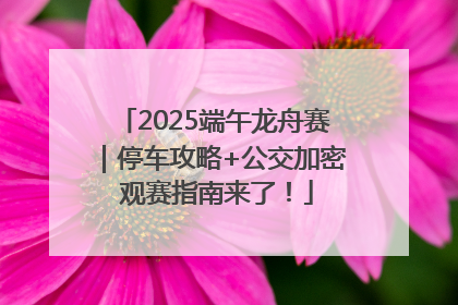 2025端午龙舟赛｜停车攻略+公交加密 观赛指南来了！