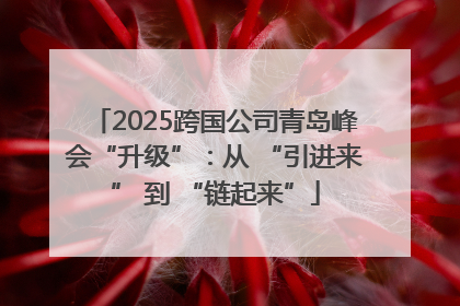 2025跨国公司青岛峰会“升级”：从 “引进来” 到 “链起来”