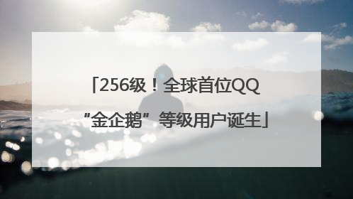 256级！全球首位QQ“金企鹅”等级用户诞生