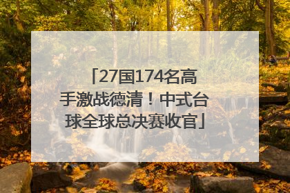 27国174名高手激战德清！中式台球全球总决赛收官