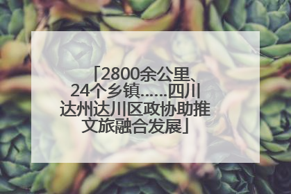 2800余公里、24个乡镇……四川达州达川区政协助推文旅融合发展