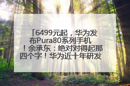 6499元起，华为发布Pura80系列手机！余承东：绝对对得起那四个字！华为近十年研发投入12490亿元