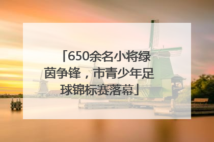 650余名小将绿茵争锋，市青少年足球锦标赛落幕