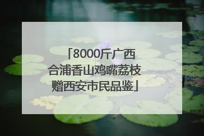 8000斤广西合浦香山鸡嘴荔枝赠西安市民品鉴