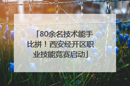 80余名技术能手比拼！西安经开区职业技能竞赛启动