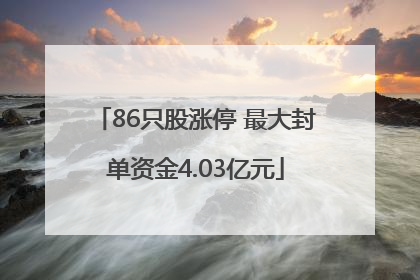 86只股涨停 最大封单资金4.03亿元