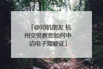 @司机朋友 杭州交警教您如何申请电子驾驶证