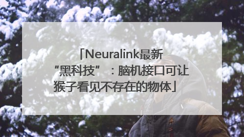 Neuralink最新“黑科技”：脑机接口可让猴子看见不存在的物体